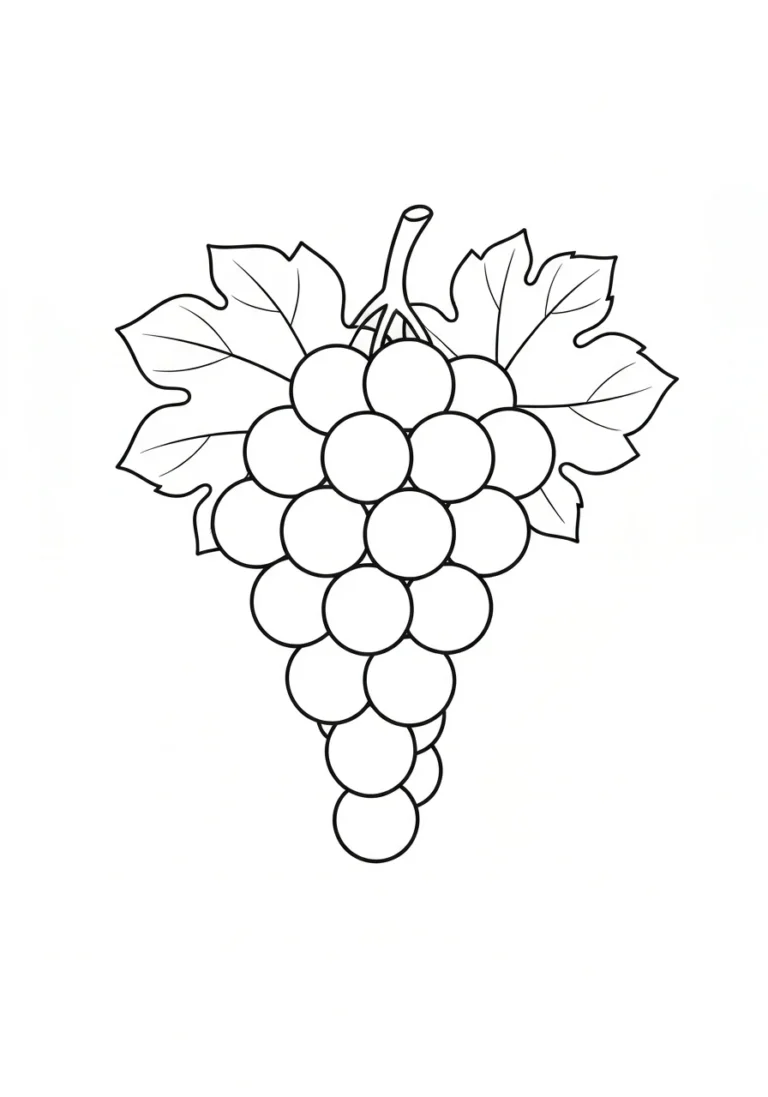 Winogrono - kolorowanka owoc edukacyjna - kolorowanka line-art do druku