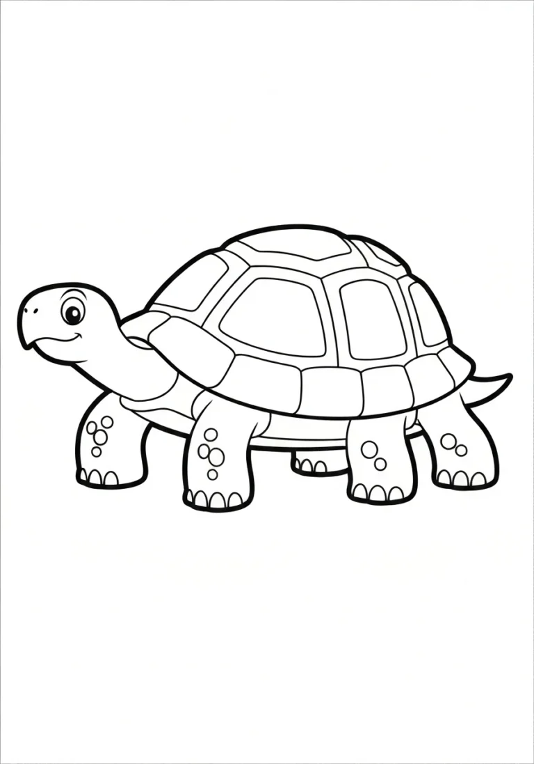 Żółw lądowy - kolorowanka egzotycznego pupila - kolorowanka line-art do druku